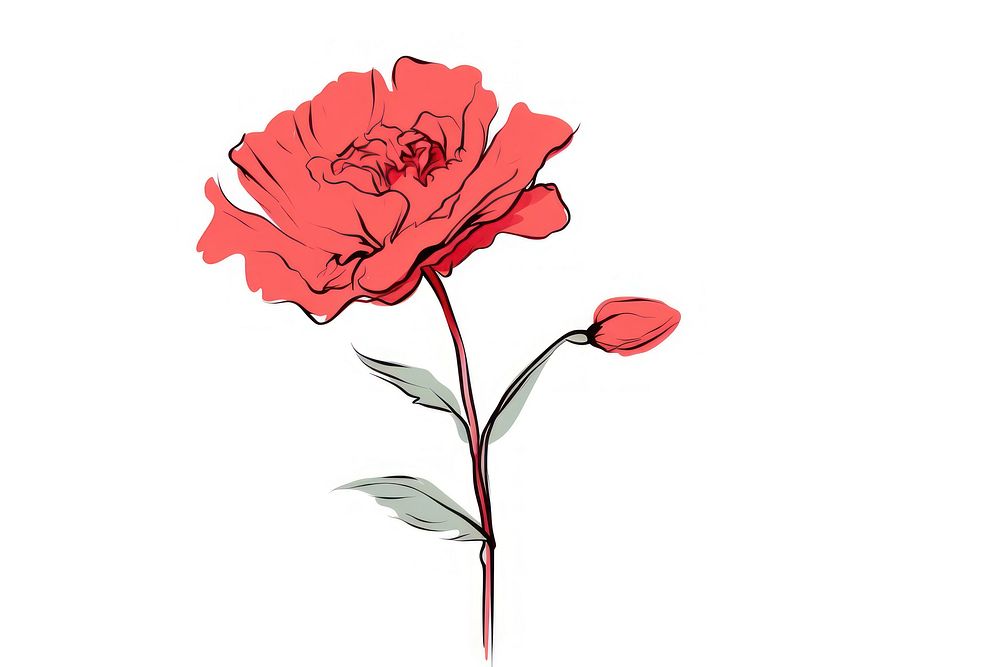 Flower sketch plant rose.