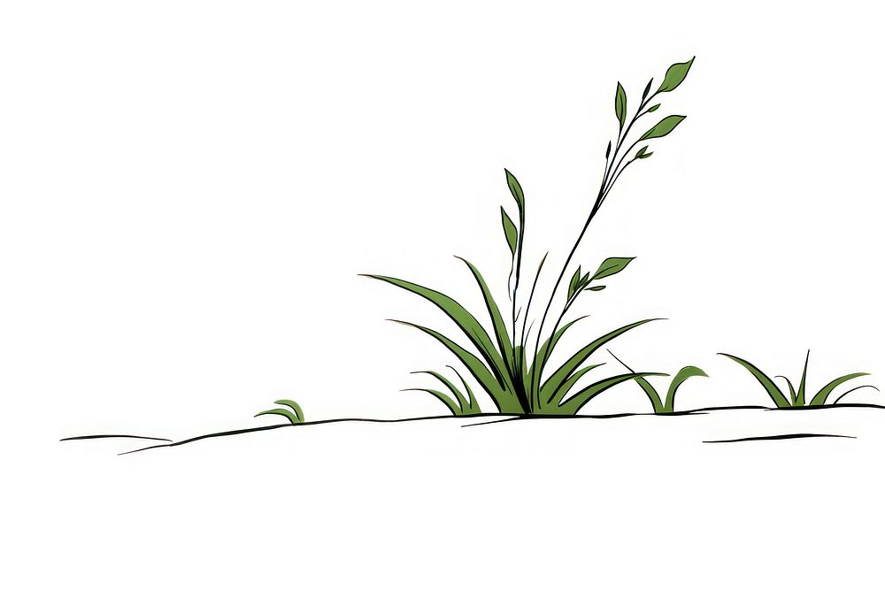 Plant sketch grass line.