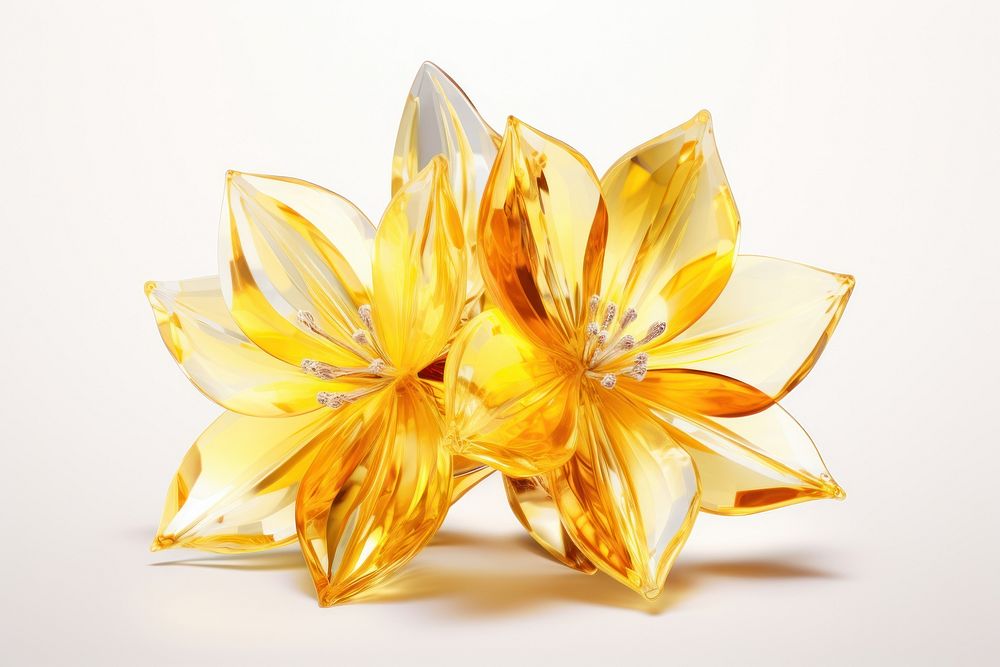 Daffodil daffodil jewelry flower.