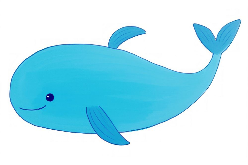 Blue whale cartoon drawing animal.