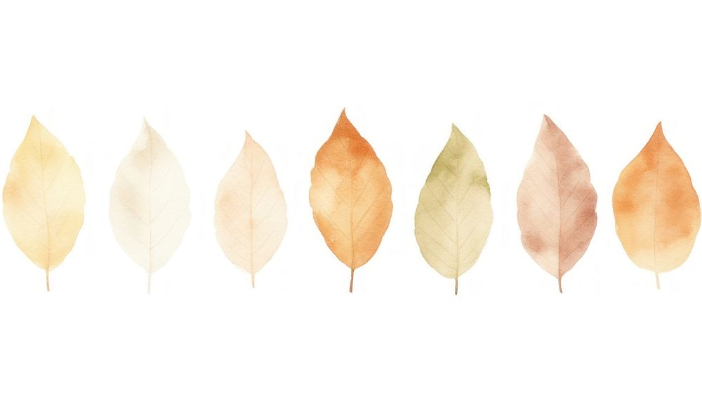 Autumn leaves as divider watercolour illustration backgrounds plant leaf.