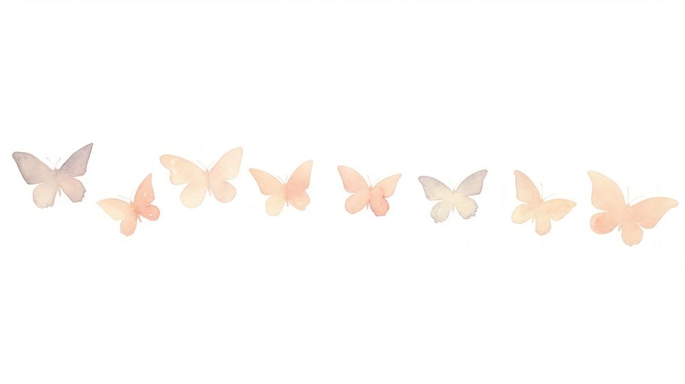 Butterflies as divider line watercolour illustration animal petal white background.