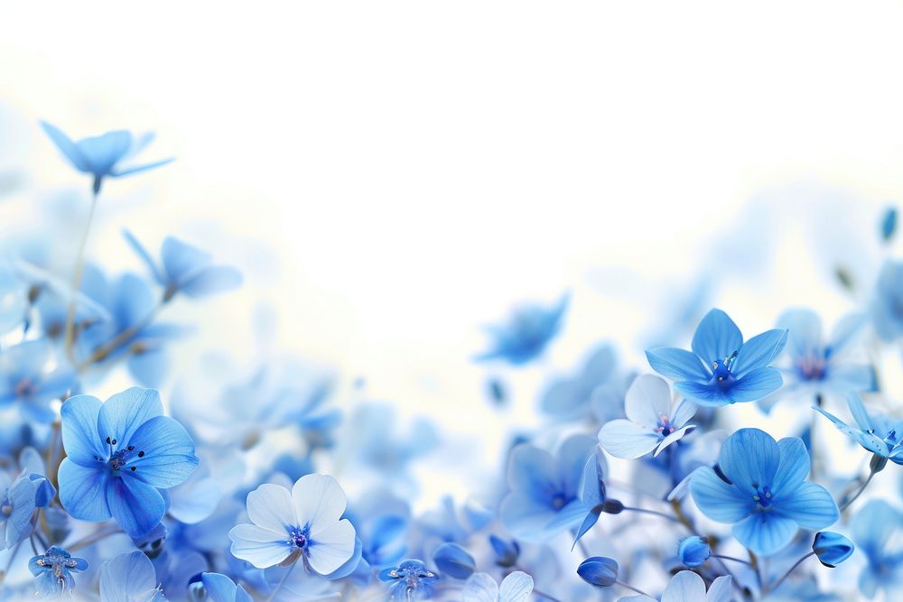 Flying blue flowers border backgrounds blossom nature.