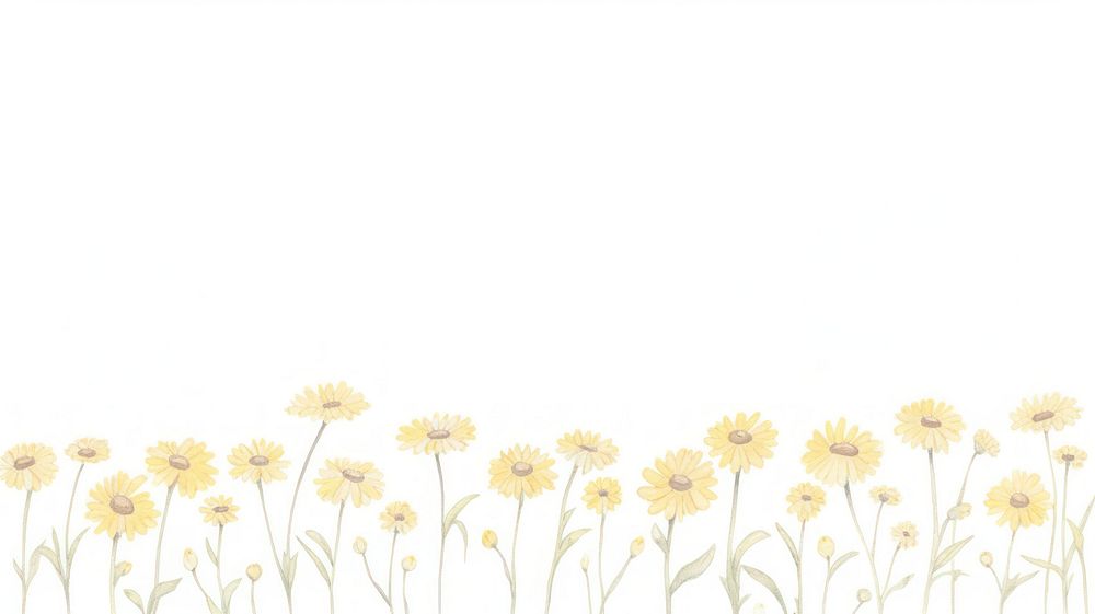 Cute daisies and butterflies as divider line watercolour illustration backgrounds pattern flower.
