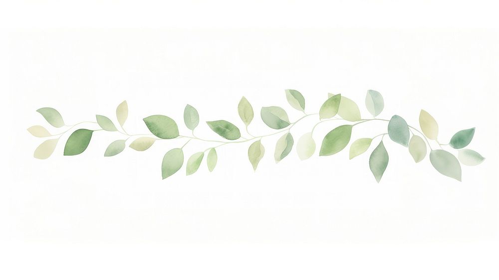 Green leaves as divider watercolour illustration backgrounds pattern plant.