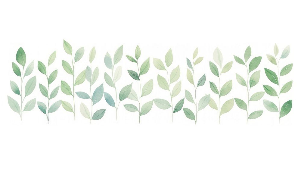 Green leaves as divider line watercolour illustration backgrounds plant leaf.