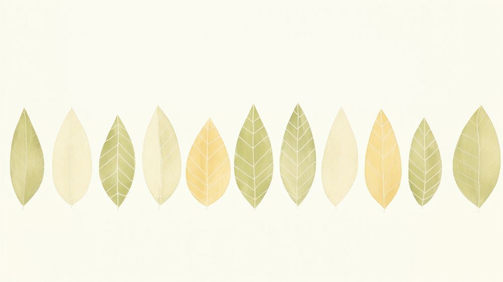 Leaves lines divider watercolour illustration backgrounds nature plant.