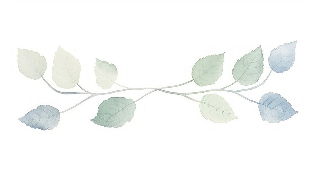 Leaves symmetric watercolour illustration plant leaf line.