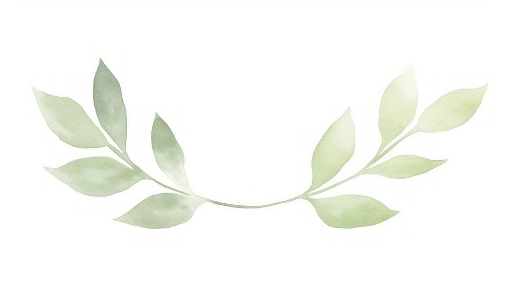 Leaves symmetric watercolour illustration plant leaf white background.