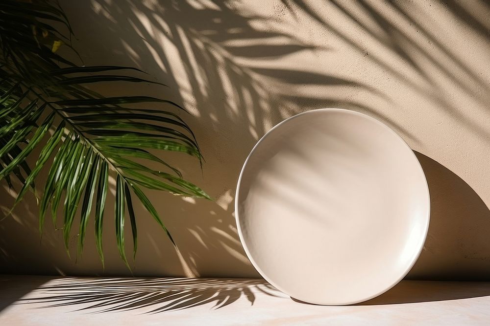 Ceramic plate  shadow lamp porcelain.