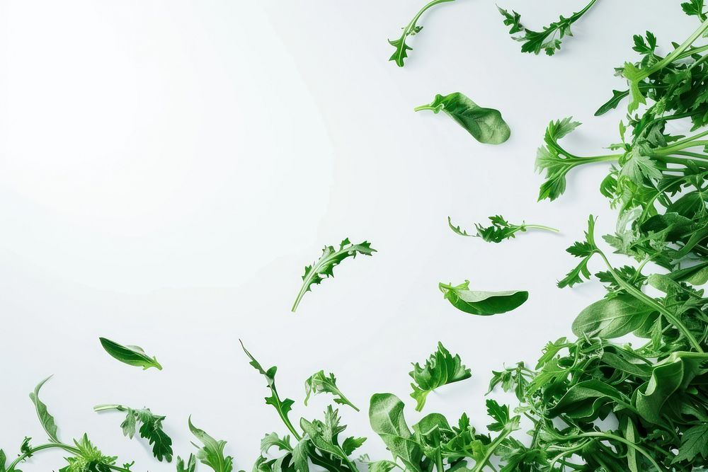 Flying green vegetables backgrounds parsley plant.