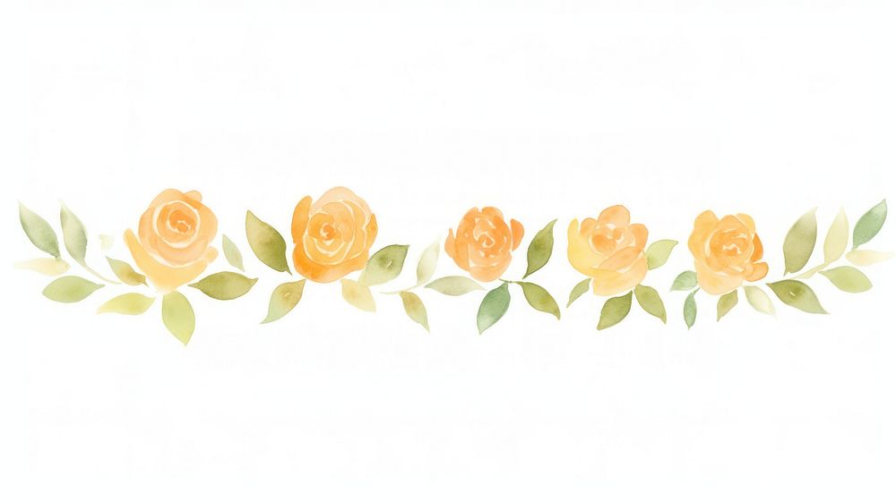 Orange roses divider watercolour illustration pattern flower plant.