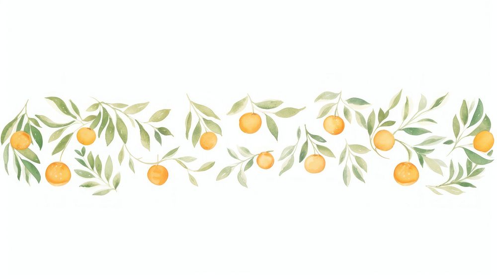 Oranges and oranges leaves as divider line watercolour illustration fruit plant food.