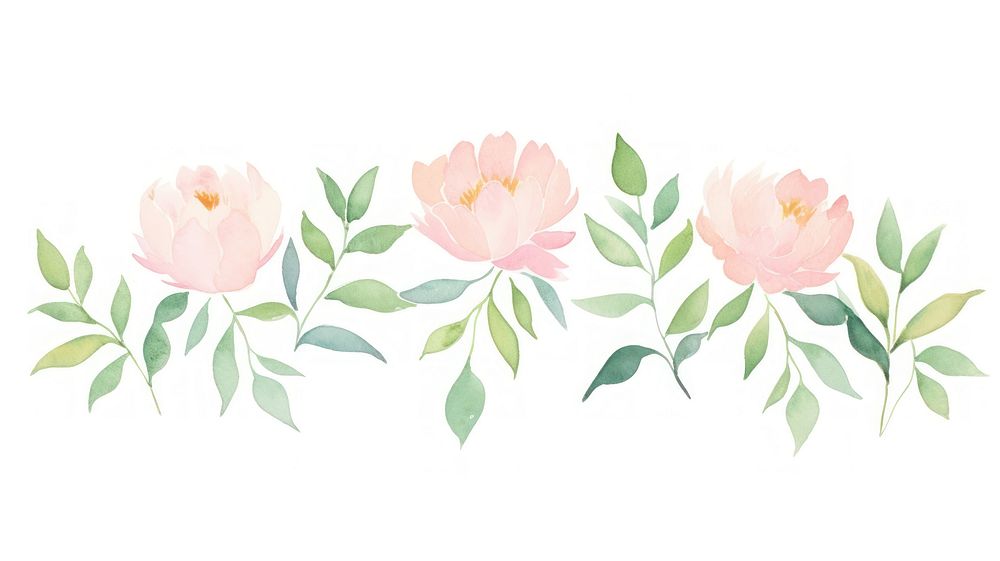 Peonies leaves divider watercolour illustration pattern flower plant.