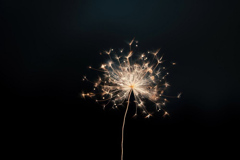 Fireworks dandelion outdoors nature. AI generated Image by rawpixel.
