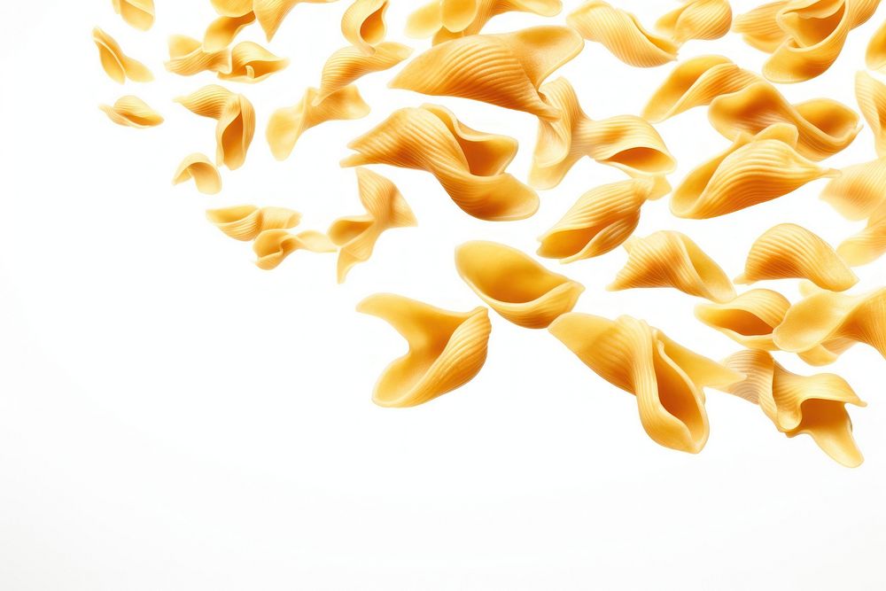 Pieces of macaroni backgrounds pasta food.