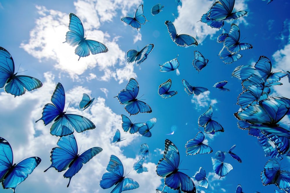 Group of blue butterfly sky outdoors animal. AI generated Image by rawpixel.