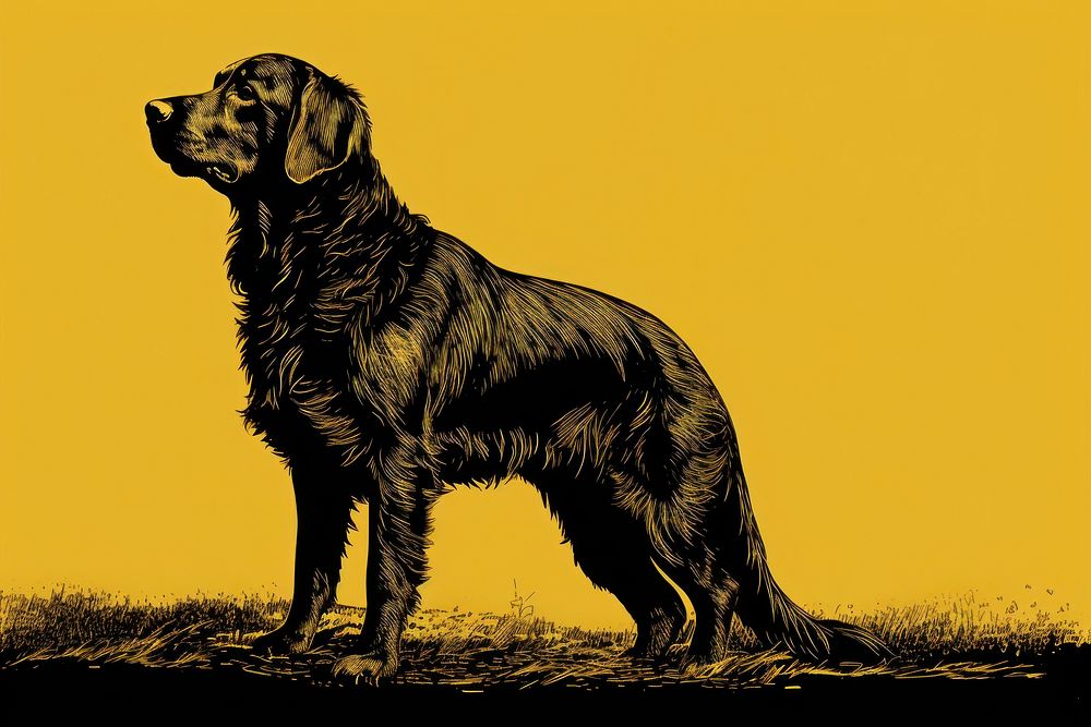 Golden retriever animal mammal black. AI generated Image by rawpixel.