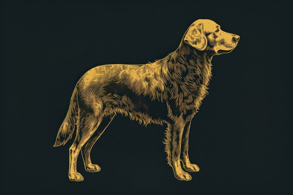 Golden retriever animal mammal black. AI generated Image by rawpixel.