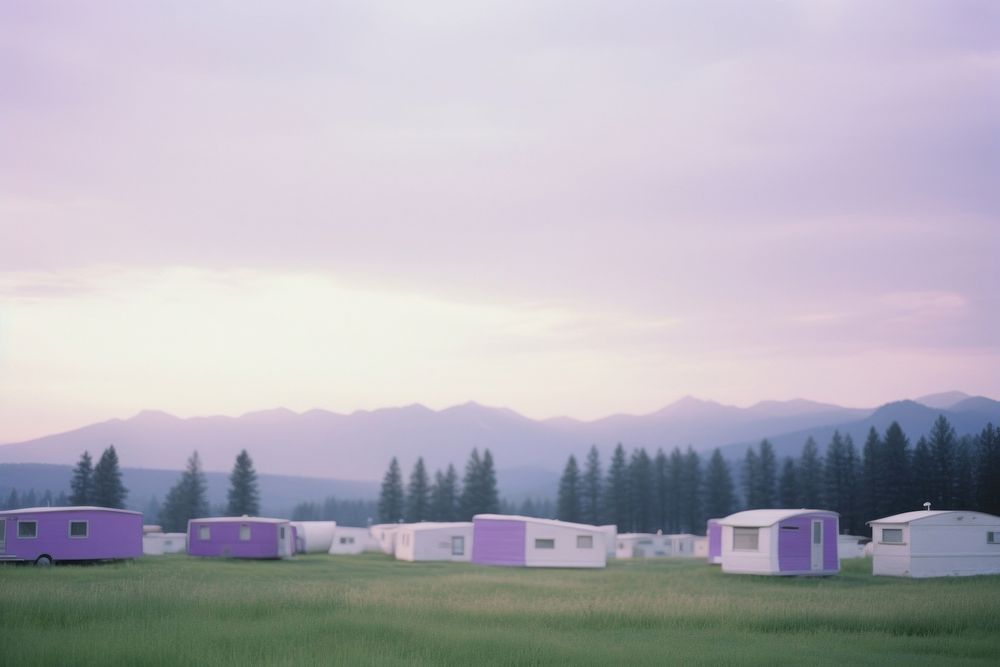 Camp outdoors nature purple.