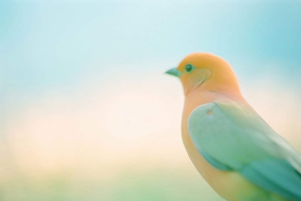 A bird animal vibrant color wildlife. AI generated Image by rawpixel.