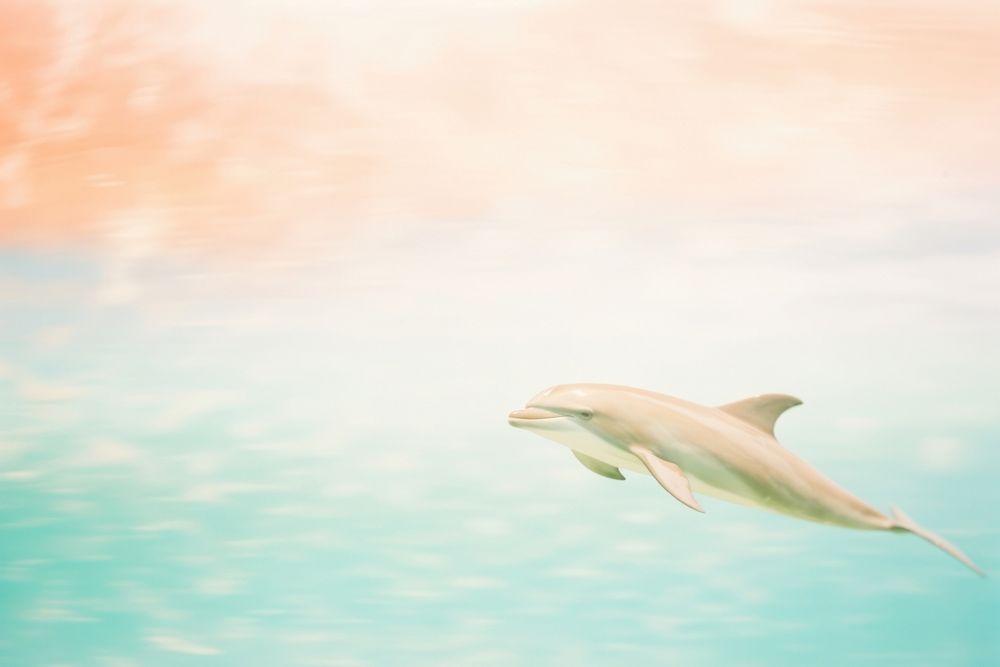 A dolphin animal mammal motion. AI generated Image by rawpixel.