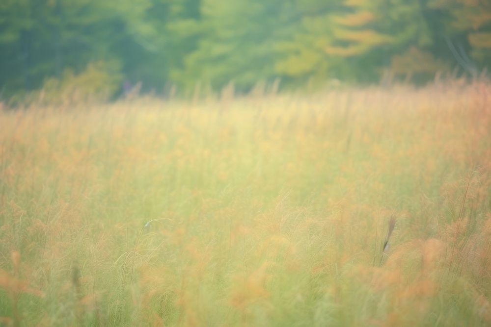Autumn meadow grassland outdoors nature. AI generated Image by rawpixel.