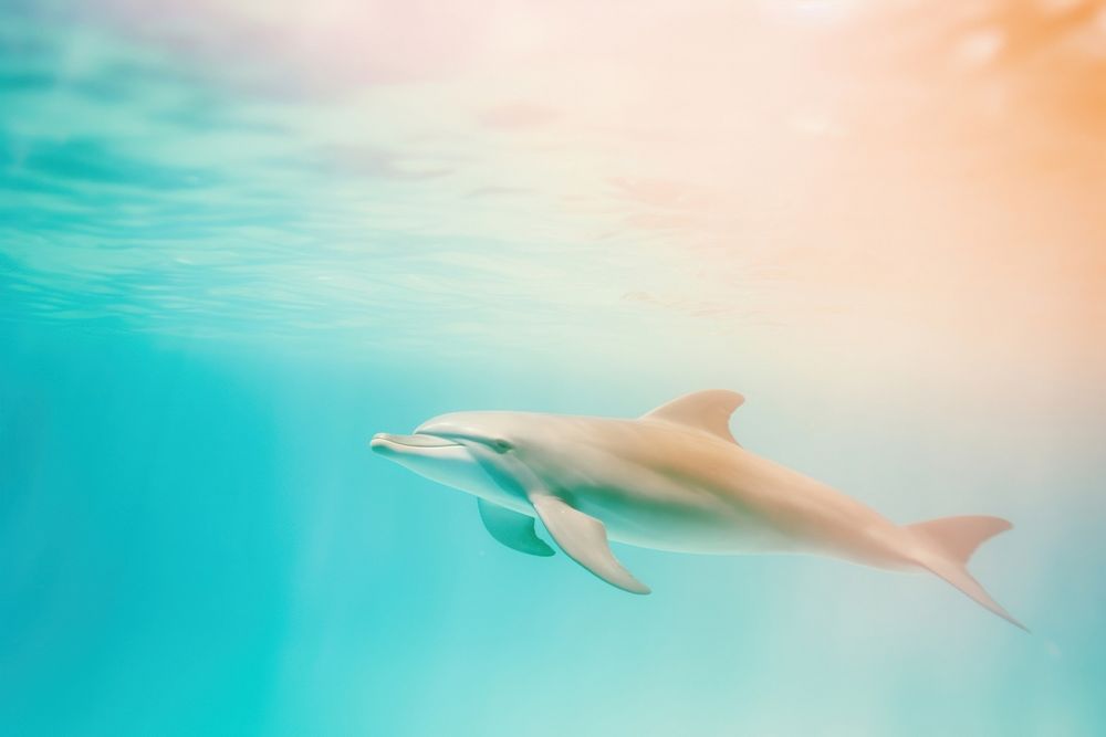 Dolphin animal mammal motion. AI generated Image by rawpixel.