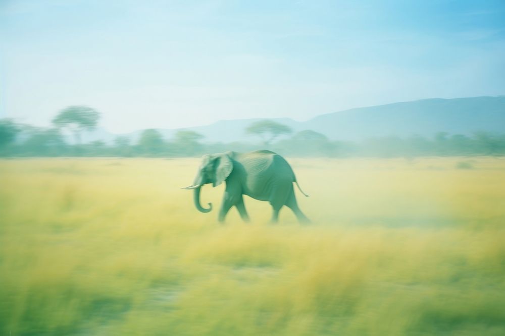 Elephant grassland wildlife outdoors. AI generated Image by rawpixel.