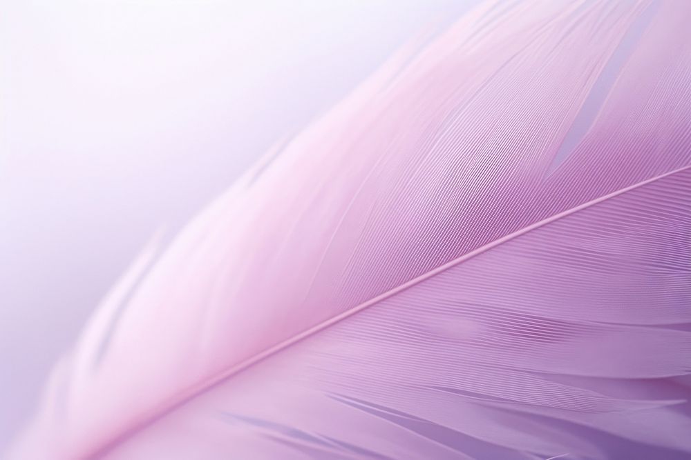 Feather purple petal vibrant color.