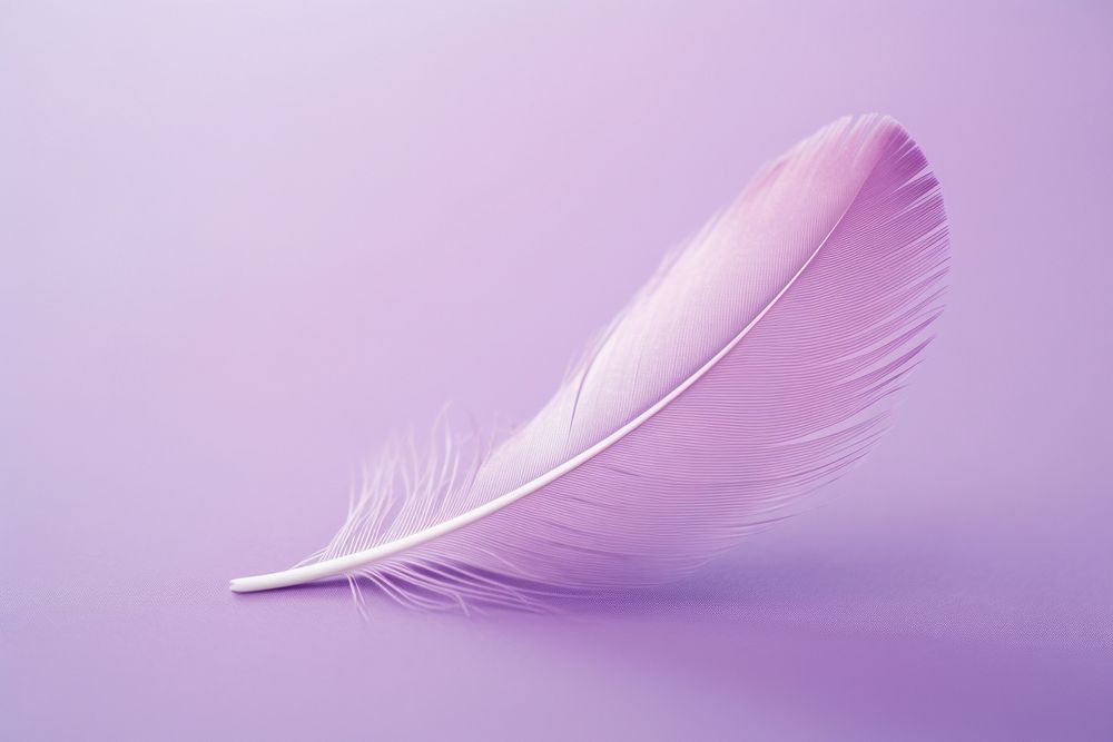 Feather purple vibrant color lightweight.