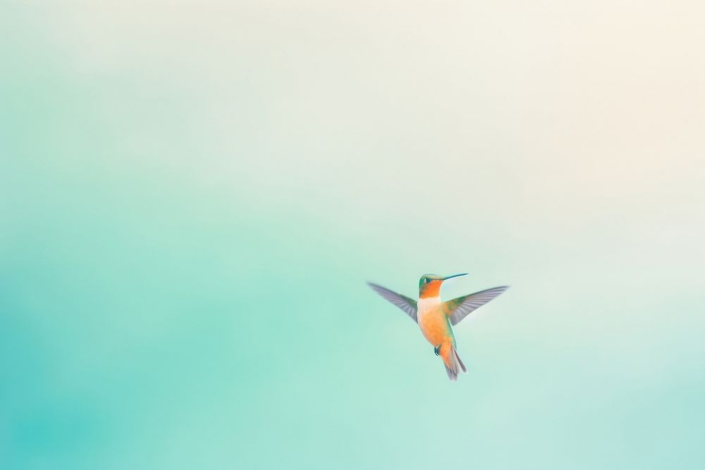 Hummingbird animal motion flying. AI generated Image by rawpixel.
