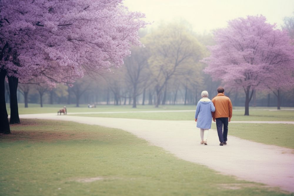 Old couple walking in park outdoors blossom nature.
