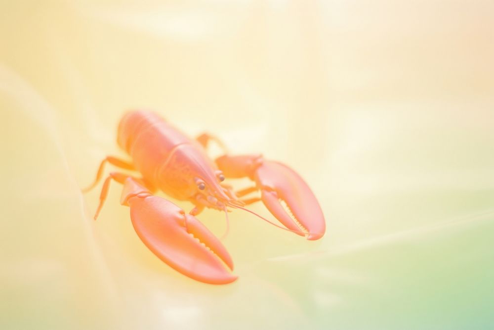 Lobster animal insect red. AI generated Image by rawpixel.