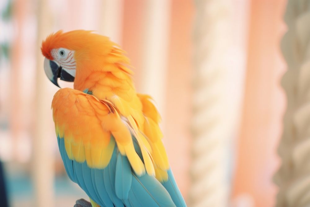 Parrot animal bird vibrant color. AI generated Image by rawpixel.