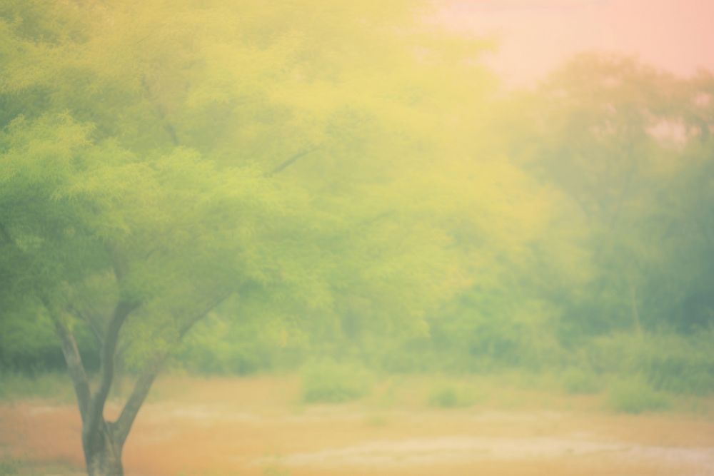 Tree in forest outdoors nature mist. AI generated Image by rawpixel.