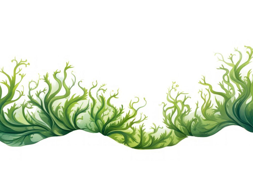 Seaweed pattern green white background.