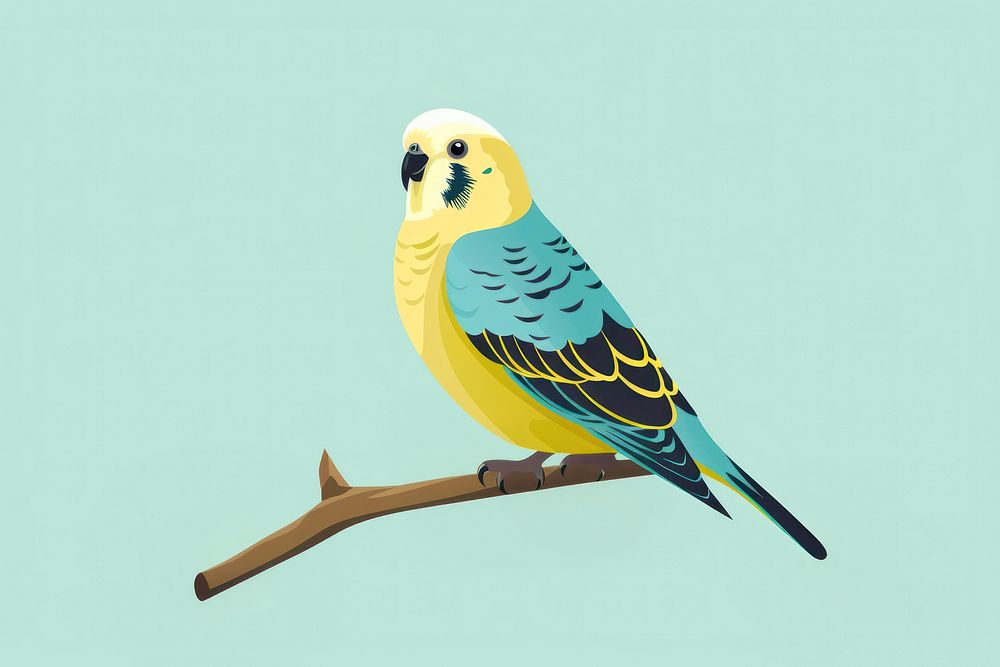Budgie bird parrot animal budgerigar. AI generated Image by rawpixel.