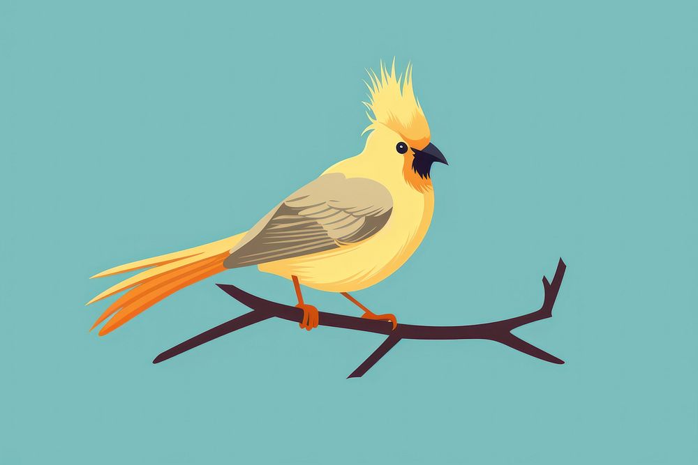 Cockatiel bird animal beak wildlife. | Free Photo Illustration - rawpixel