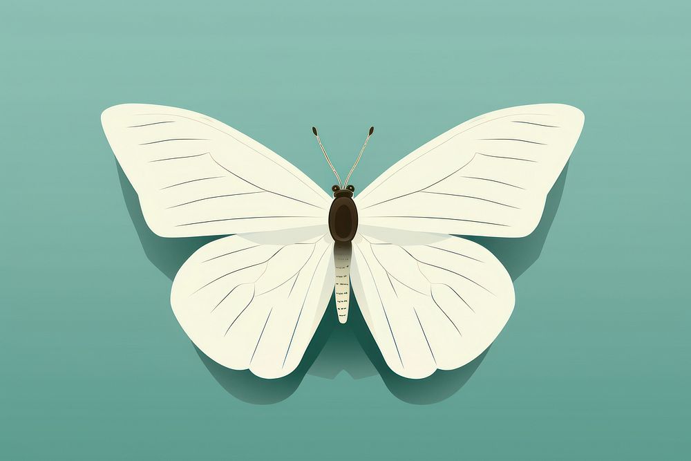 White butterfly insect animal moth. AI generated Image by rawpixel.
