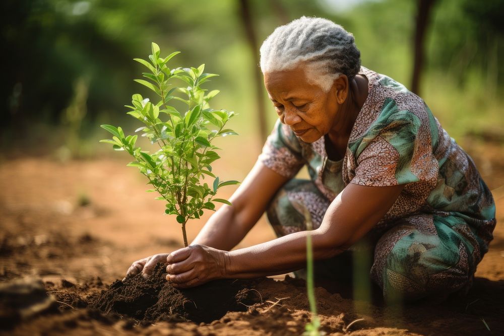 Old african american woman volunteering planting gardening outdoors.