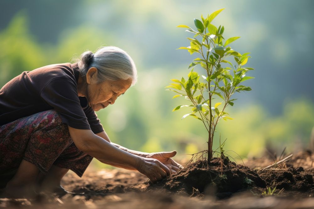 Old asian woman volunteering planting gardening outdoors.