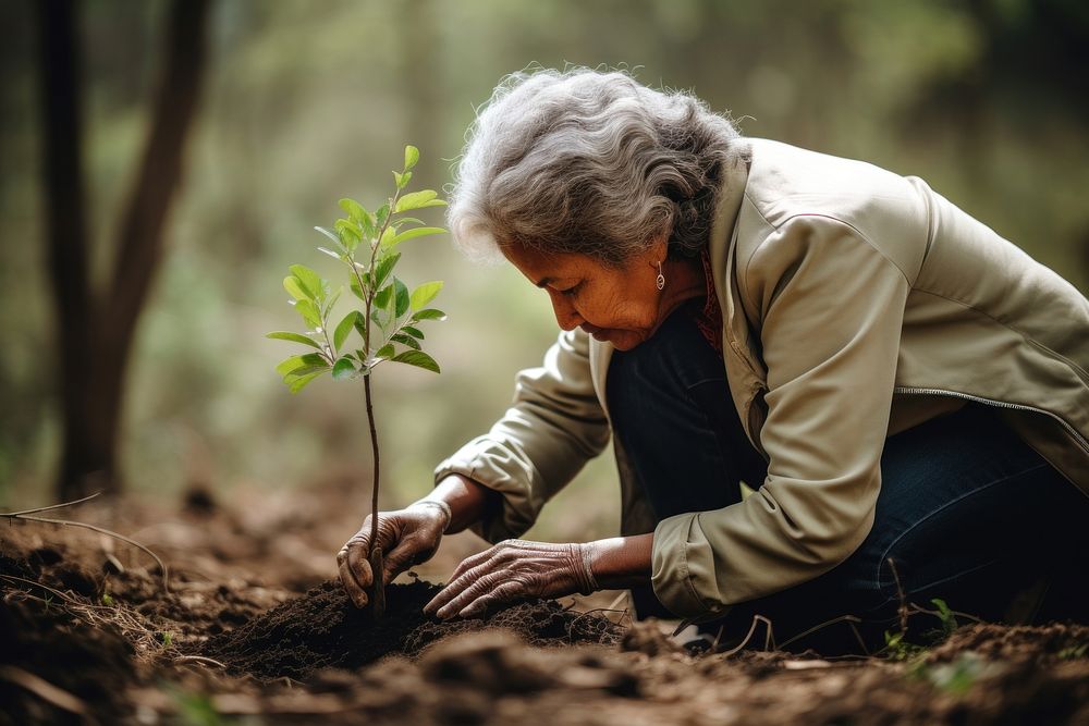 Old latin woman volunteering planting gardening outdoors.