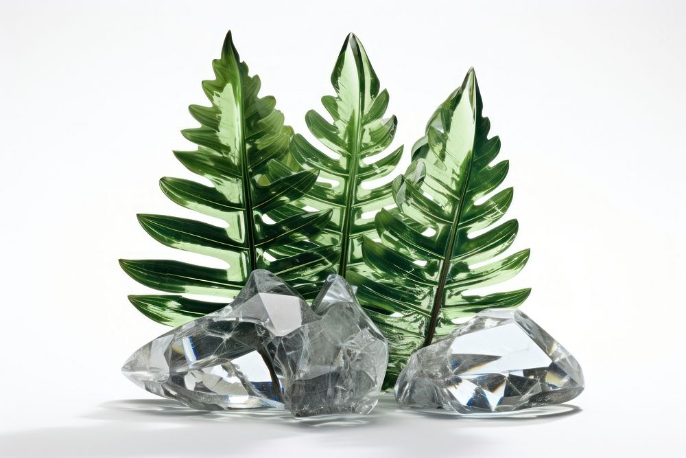 Crystal fern plant gemstone jewelry nature.