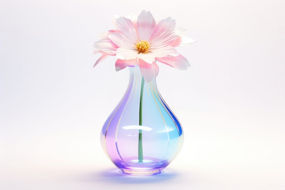 Flower vase plant glass white background.