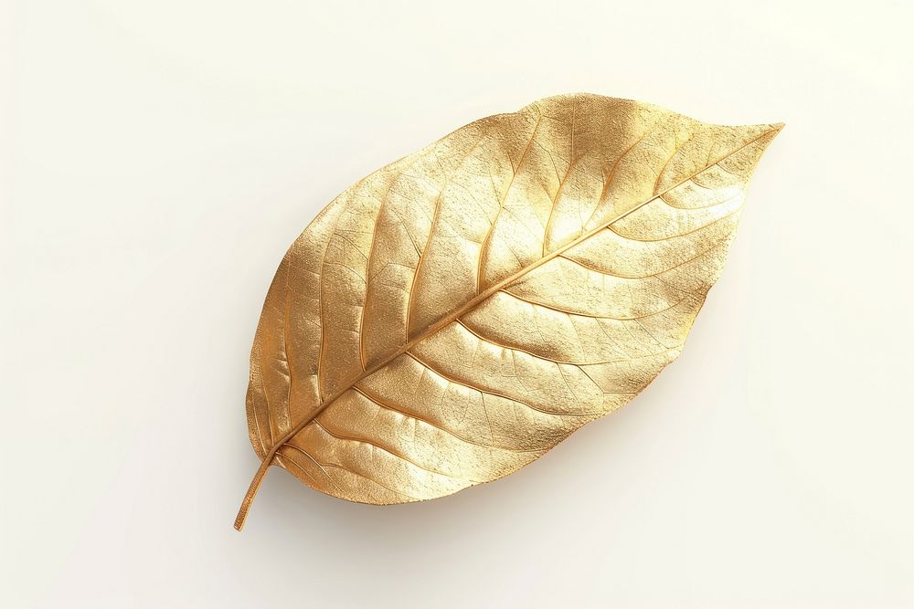 Leaf plant gold white background.
