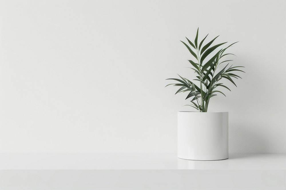 Label  plant white vase.