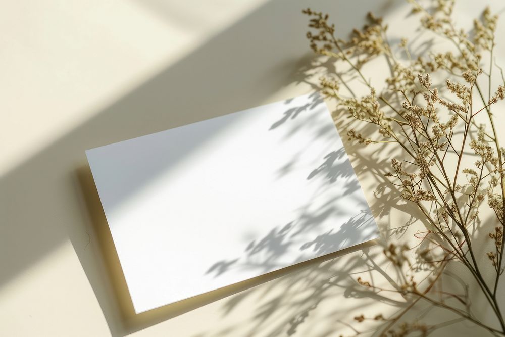 Paper white architecture windowsill.