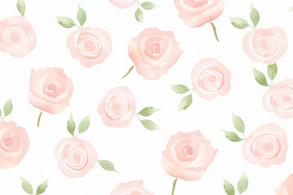 Rose pattern backgrounds flower.
