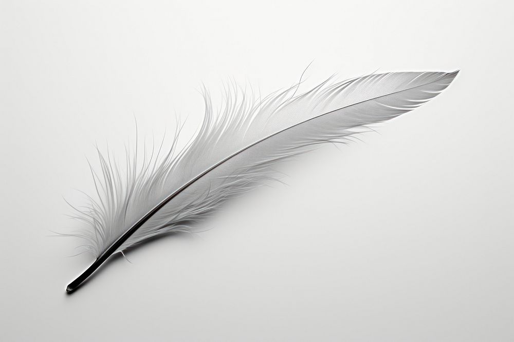 Feather lightweight accessories monochrome.